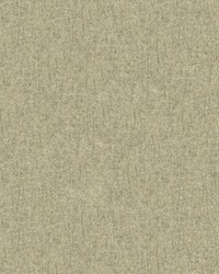 CHEVALIER WOOL ASH by  Brunschwig & Fils  