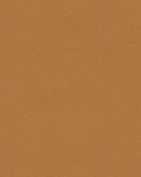 CHEVALIER WOOL TAN by  Brunschwig & Fils  