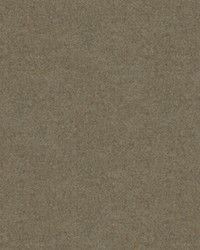 CHEVALIER WOOL DRIFTWOOD by  Brunschwig & Fils  