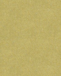 CHEVALIER WOOL QUINCE by  Brunschwig & Fils  