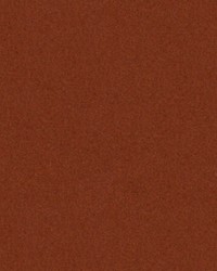 CHEVALIER WOOL TUMERIC by  Brunschwig & Fils  