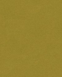 CHEVALIER WOOL MOSS by  Brunschwig & Fils  