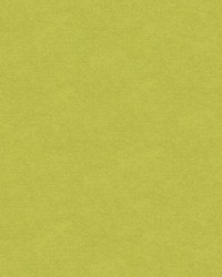 CHEVALIER WOOL PERIDOT by  Brunschwig & Fils  