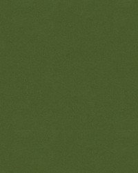 CHEVALIER WOOL FOREST by  Brunschwig & Fils  