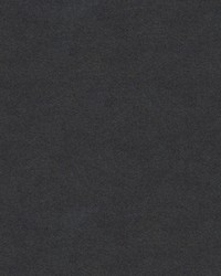 CHEVALIER WOOL GRAPHITE by  Brunschwig & Fils  