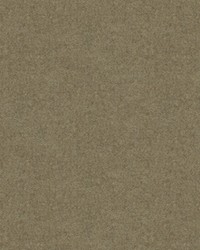 CHEVALIER WOOL PONGEE by  Brunschwig & Fils  