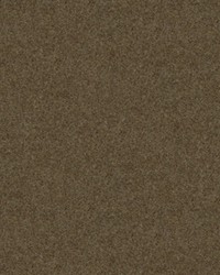 CHEVALIER WOOL MOLE by  Brunschwig & Fils  