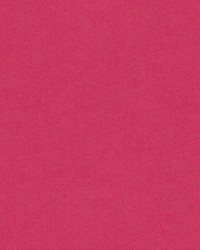 CHEVALIER WOOL CERISE by  Brunschwig & Fils  