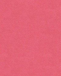 CHEVALIER WOOL BLOSSOM by  Brunschwig & Fils  