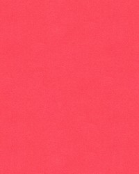 CHEVALIER WOOL ROSE by  Brunschwig & Fils  