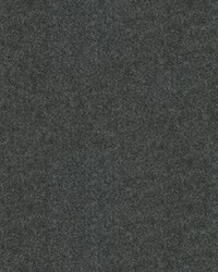 CHEVALIER WOOL IRON by  Brunschwig & Fils  