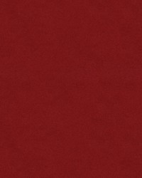 CHEVALIER WOOL POMEGRANATE by  Brunschwig & Fils  