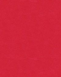 CHEVALIER WOOL BERRY by  Brunschwig & Fils  