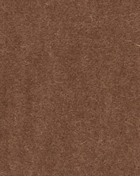 BACHELOR MOHAIR DOVE by   