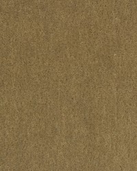 BACHELOR MOHAIR BIRCH by   