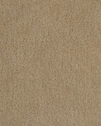 BACHELOR MOHAIR SHALE by   