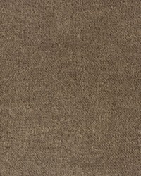 BACHELOR MOHAIR GREY by   