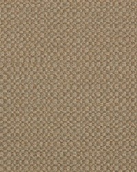 Action Taupe by  Sunbrella 