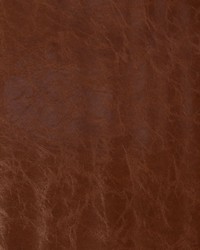 Chaparral Buckskin by   