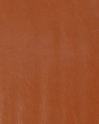 Chaparral Rawhide by   