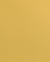 Cordoba Sunshine by  Collier Campbell 