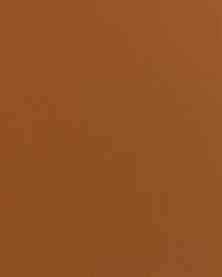 Cordoba Terracotta by  Collier Campbell 