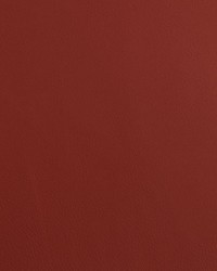 Cordoba Vermillion by  Collier Campbell 