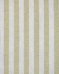Silver State Nile Moss Fabric