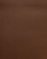 Nitro Amber by  Collier Campbell 