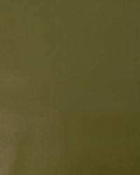 Nitro Artichoke by  Collier Campbell 