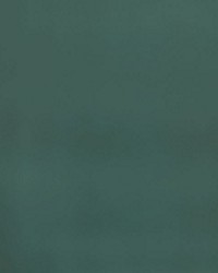 Nitro Bayou by  Collier Campbell 