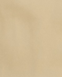 Nitro Bisque by  Collier Campbell 