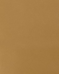 Nitro Cashew by  Collier Campbell 