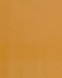 Nitro Goldenrod by  Collier Campbell 