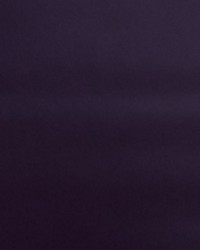 Nitro Grape by  Collier Campbell 