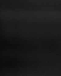 Nitro Onyx by  Collier Campbell 