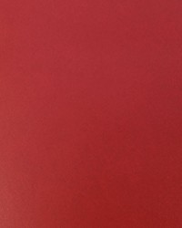 Nitro Ruby by  Collier Campbell 