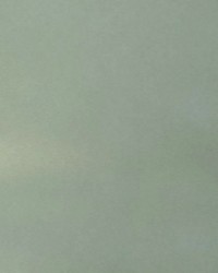 Nitro Seafoam by  Collier Campbell 