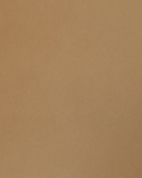 Nitro Sisal by  Collier Campbell 