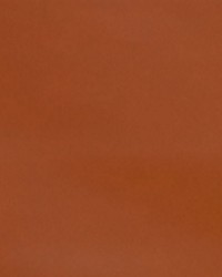 Nitro Tangelo by  Collier Campbell 