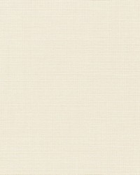 Blair Sheer Ecru by  Schumacher Fabric 