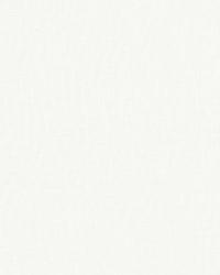 Camden Sheer Natural by  Schumacher Fabric 