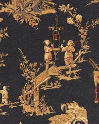 Chinois Charcoal by  Schumacher Fabric 