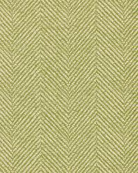 Chevron Dete Grass by  Schumacher Fabric 