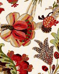 Cambourne Coral by  Schumacher Fabric 