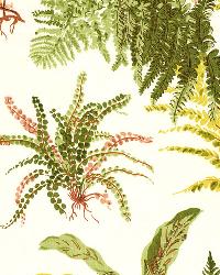 Les Fougeres Spring by  Schumacher Fabric 