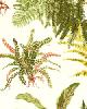 Schumacher Fabric LES FOUGERES SPRING