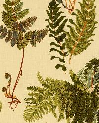 Les Fougeres Antique by  Schumacher Fabric 
