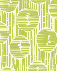 Bamboo Forest Print Parrot by  Schumacher Fabric 