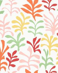 Ode To Matisse Punch by  Schumacher Fabric 